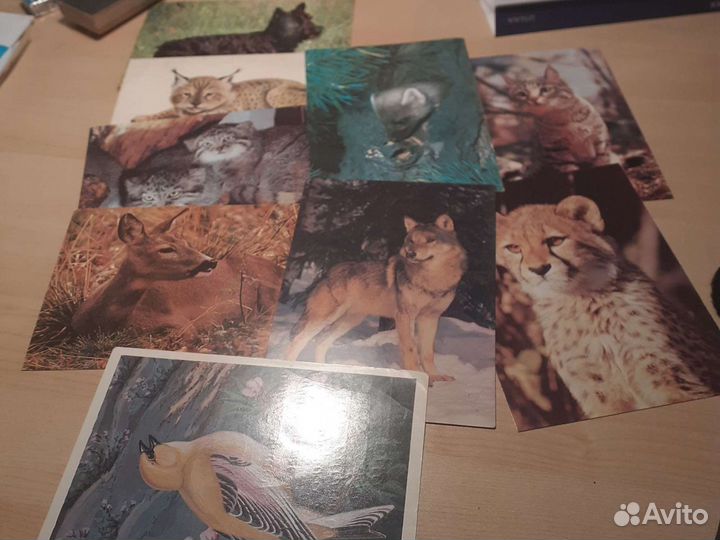 Набор открыток 78- 85гг