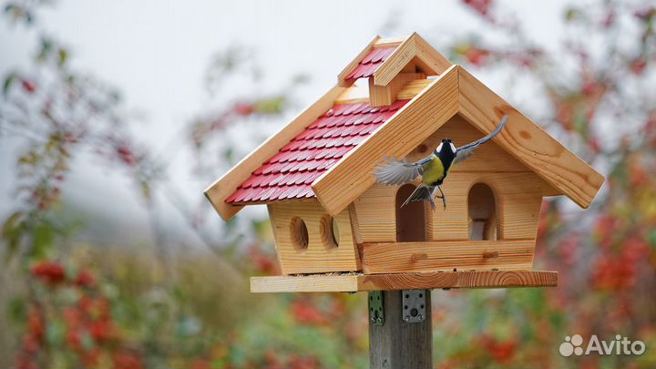 Скворечник. Скворечники. Домики для птиц