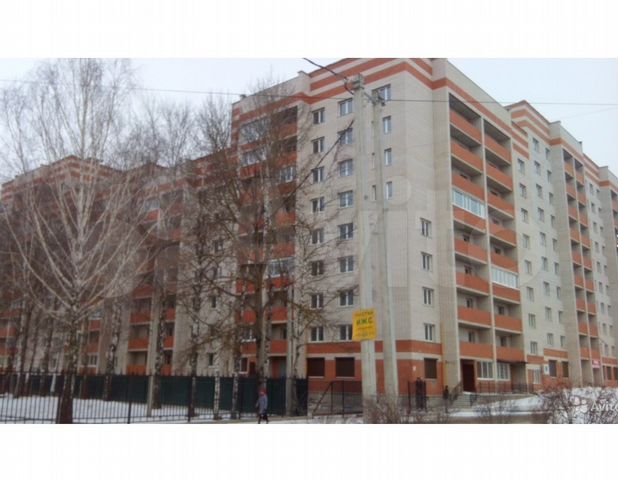 Дункан тульский пер 9а фото