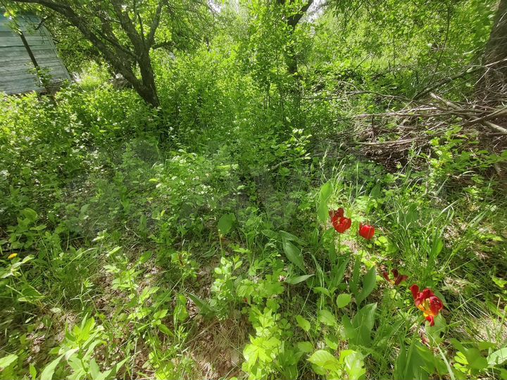 Дача 17 м² на участке 6 сот.