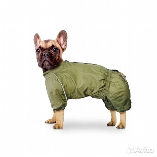 Зимняя одежда для собак