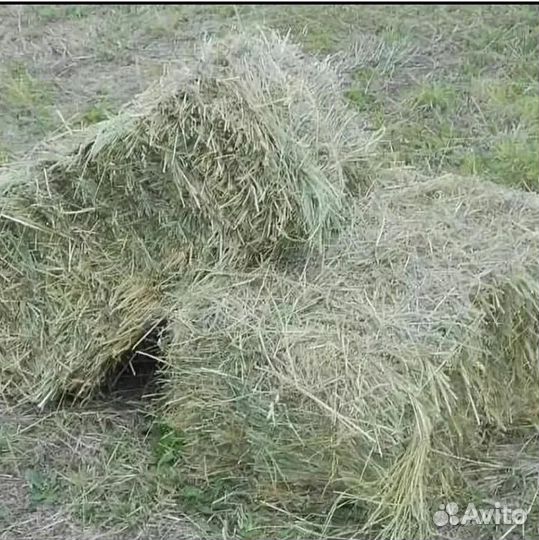 Сено луговое в тюках