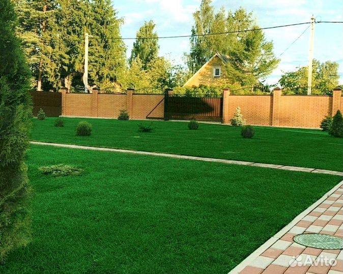 Рулонный газон 