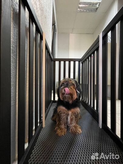 Вольер для домашних животных