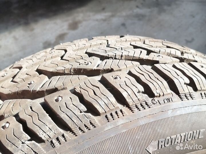 Tigar Ice 195/65 R15