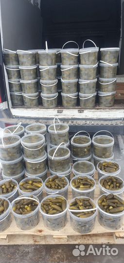 Огурчики бочковые