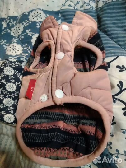 Одежда для йорка