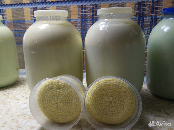 Молоко, творог, масло, сыр