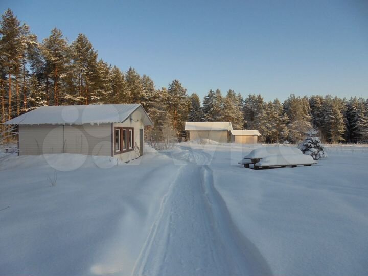 Дом 40 м² на участке 5 га