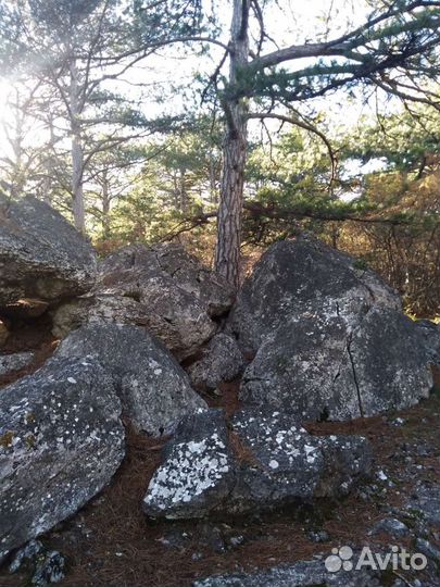 Гид-экскурсовод