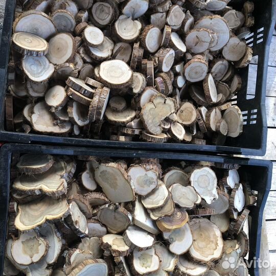 Можжевельник спилы