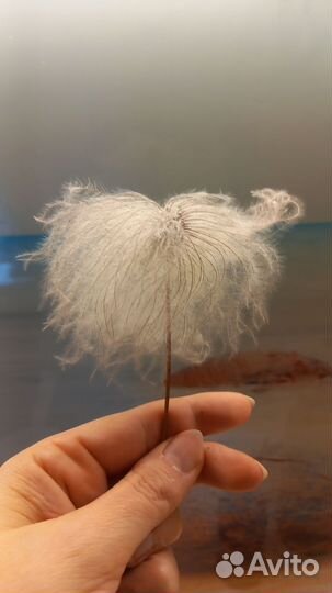 Сухоцветы, жёлуди, шишки для творчества