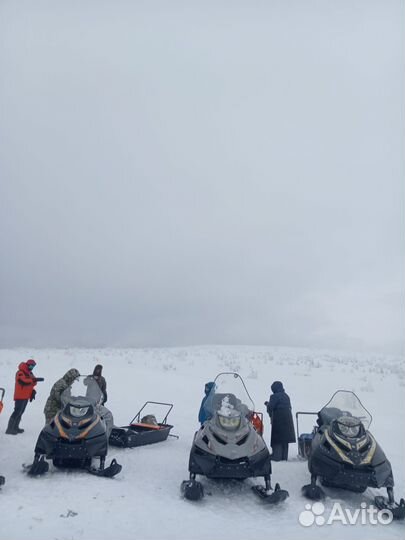 Тайга барс 850