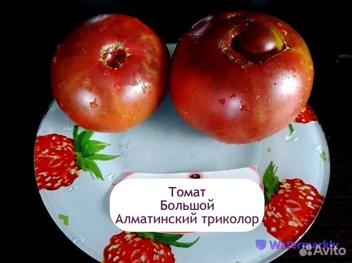 Семена томатов