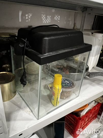 Аквариум 10 литров