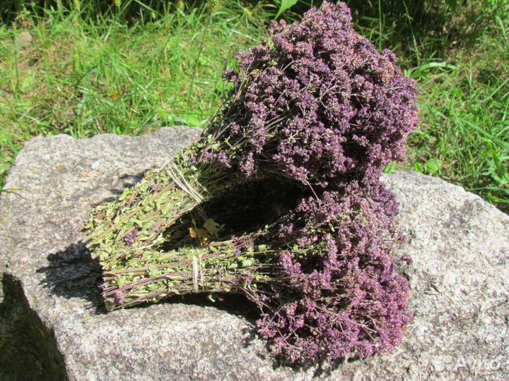 Душица сушеная из Башкирии