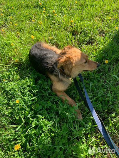 Мотя ишет дом, подарите малышке семью