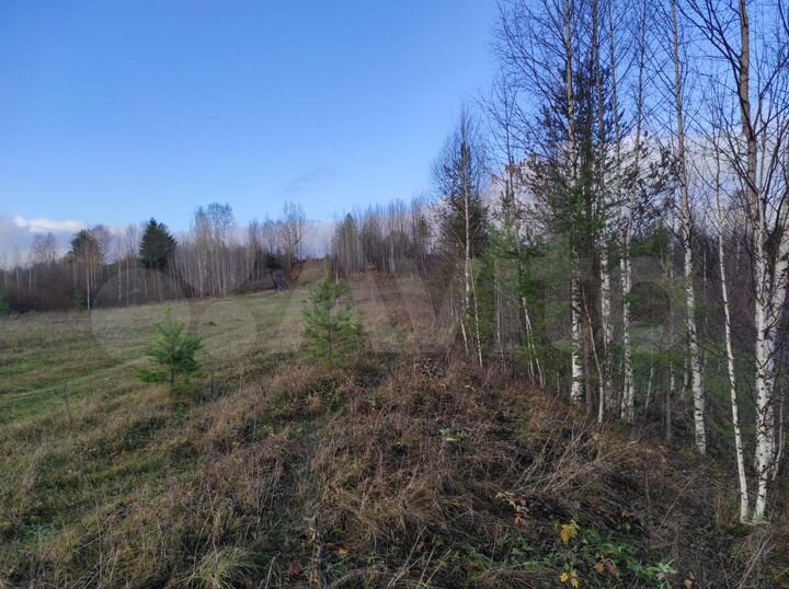 Участок 54 сот. (СНТ, ДНП)