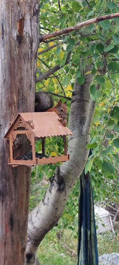 Дача 35 м² на участке 9 сот.