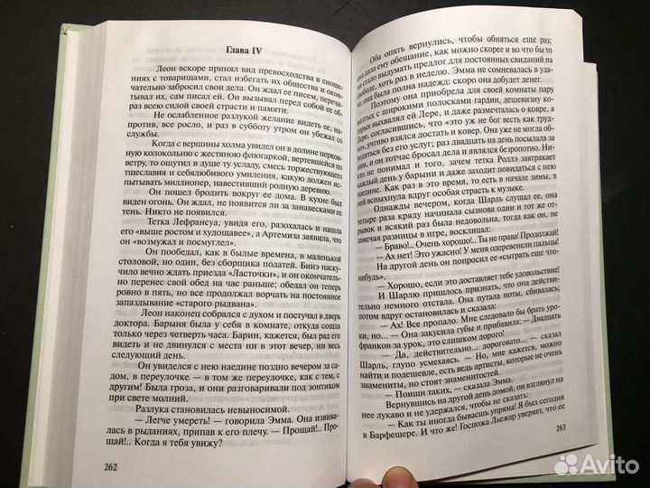 Госпожа Бовари, Флобер, 2007