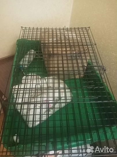 Клетка для кролика 804742см