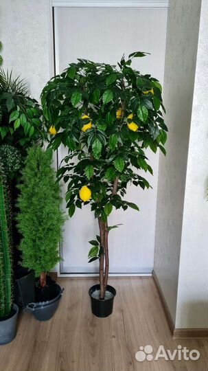 Искусственное дерево, лимон