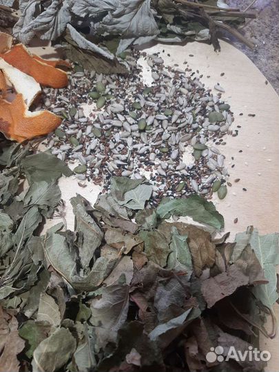 Копошилка для попугаев