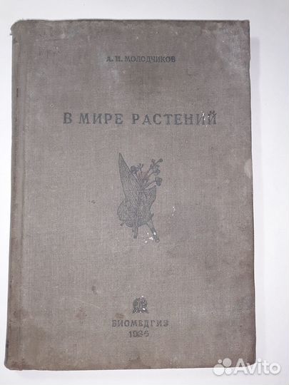 В мире растений