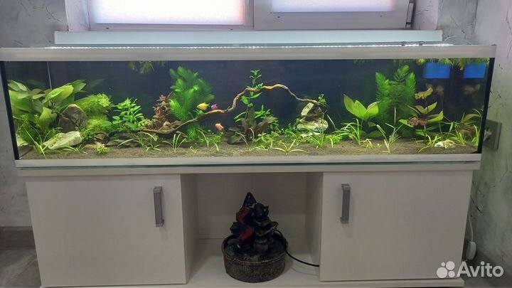 Аквариум