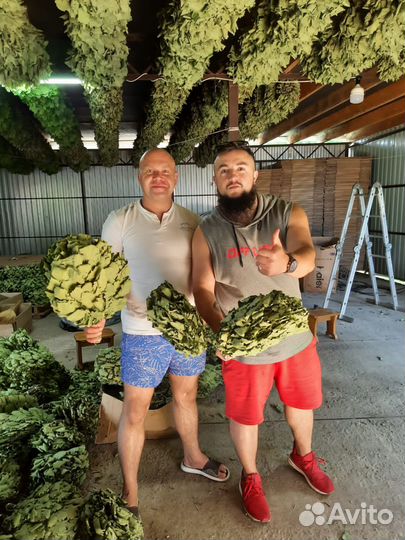 Банные веники дуб/береза/пихта/аромамасла