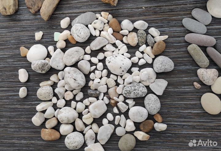 Набор 1 (дрифтвуд,галька, ракушки)