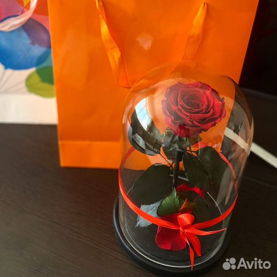 Роза в колбе