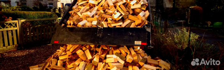 Дрова в тот же день