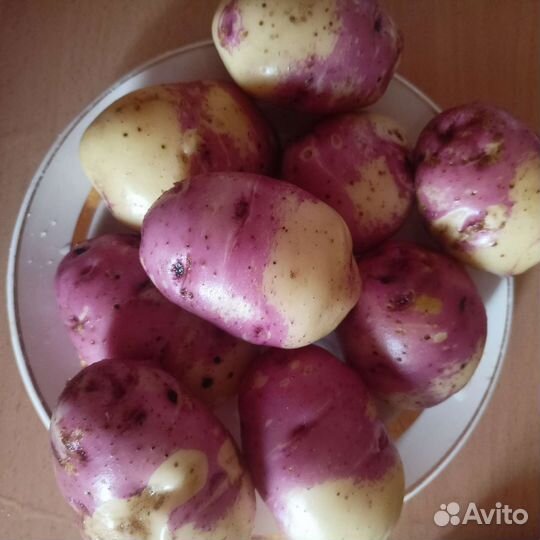 Продукты