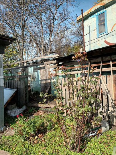 Дача 20 м² на участке 4,8 сот.