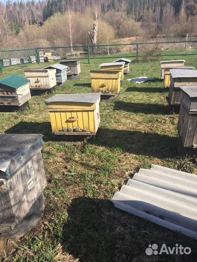 Инвентарь все для пасеки/пчеловодства