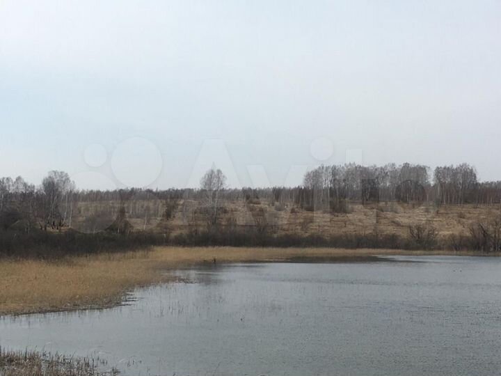 Участок 1,48 га (СНТ, ДНП)