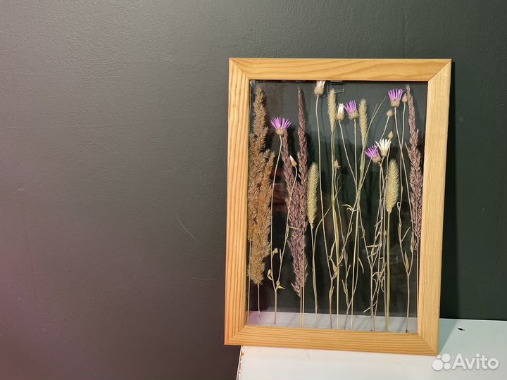 Фитокартина из сухоцветов