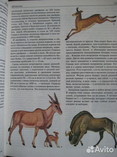 Энциклопедический словарь юного натуралиста