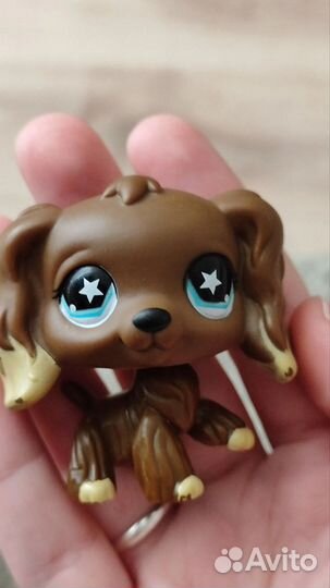 Littlest pet shop, коккеры