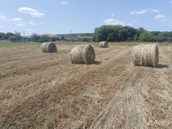 Костер+Вика