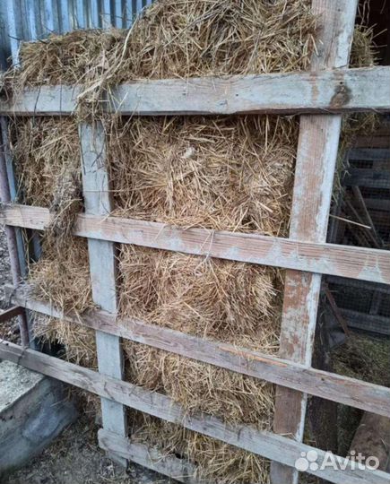 Сено солома в тюках