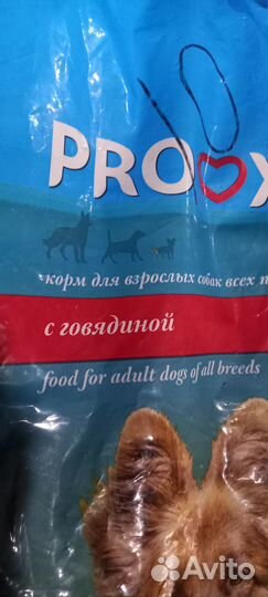 Корма для собак и кошек оптом