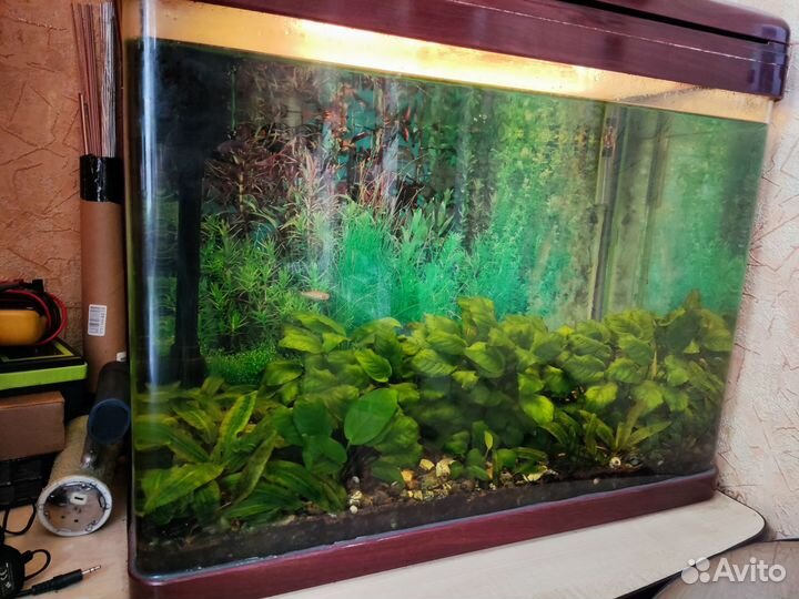 Аквариум