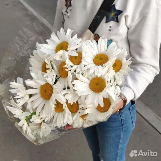 Ромашки оптом