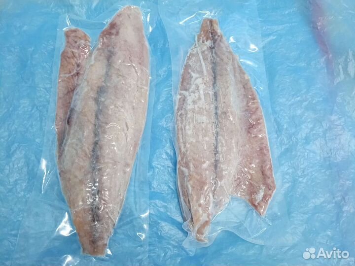 Пеламида н/р филе