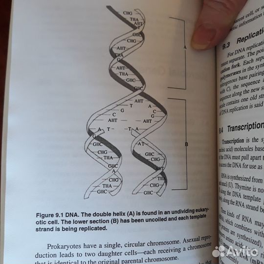 Essentials of Microbiology/Микробиология-основное