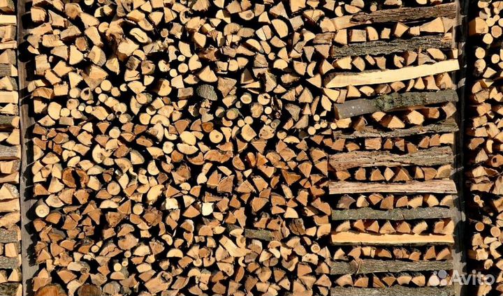Дрова в область