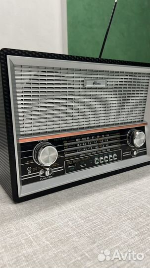 Радиоприемник Ritmix RPR-102