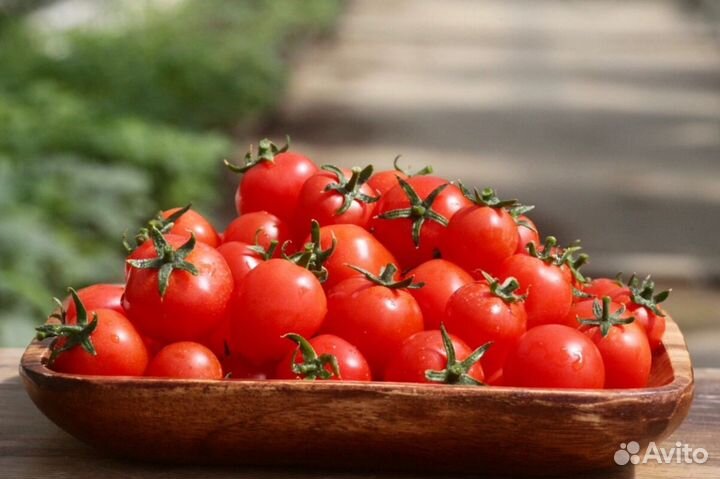 Фасовщик овощей в Калужскую область. Вахта